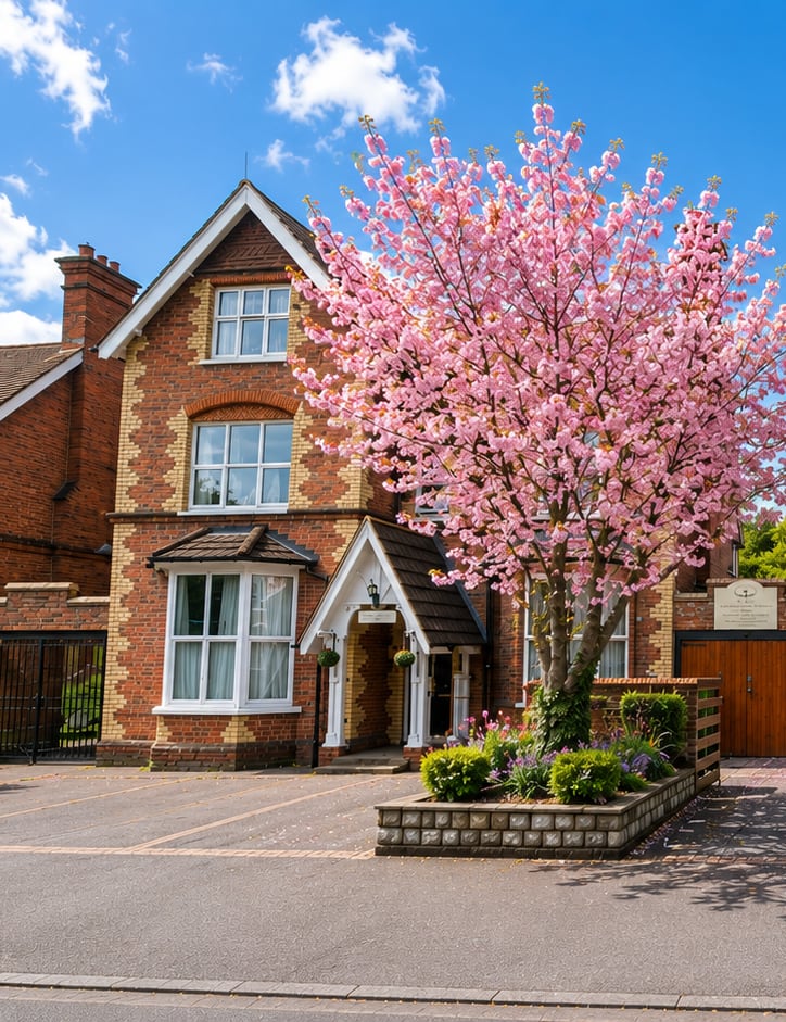 The handsome red-brick period building that houses Pembroke Lodge, its cherry tree in spring blossom